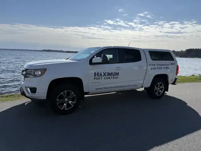 Maximum Pest Control — Saratoga Springs