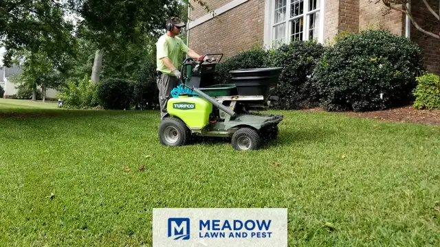 Meadow Lawn & Pest — Carrollton