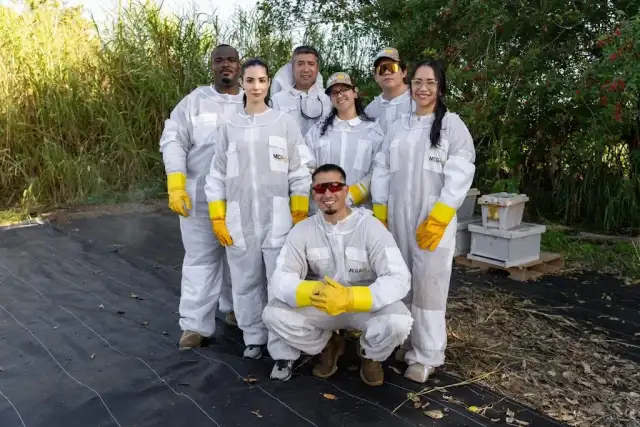 Mega Bee Rescues & Pest Control — Miami