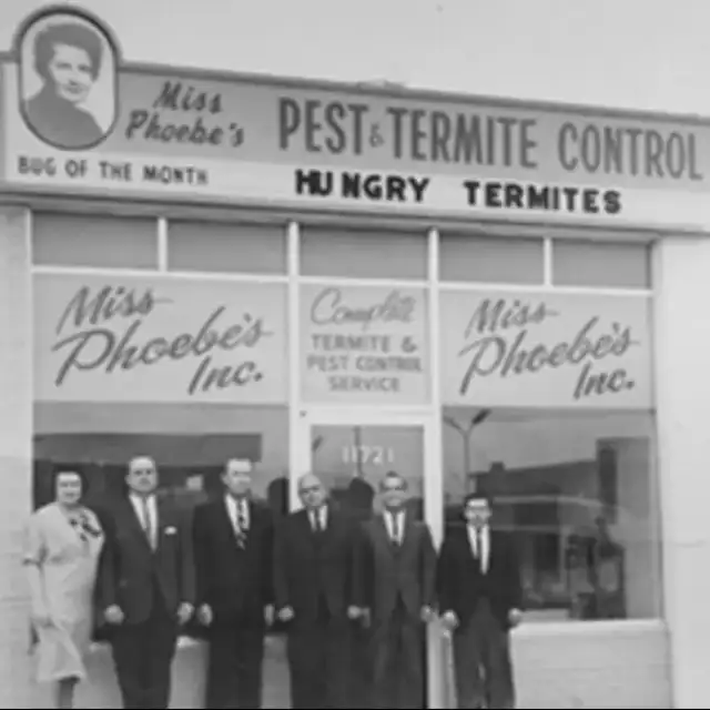 Miss Phoebe's Pest & Termite Control — Dallas