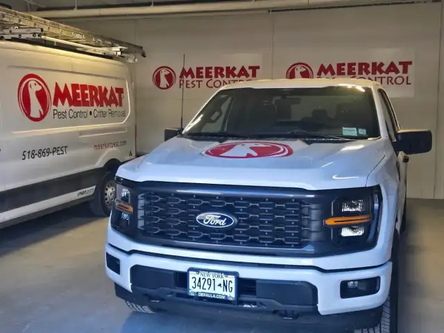 Meerkat Pest Control — West Hartford