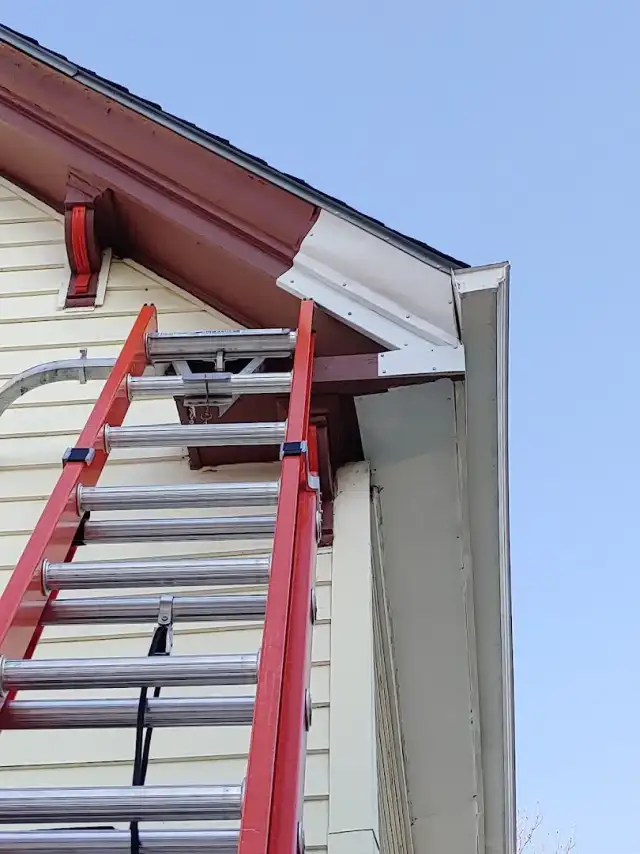 North East Pest Solutions — Harrison