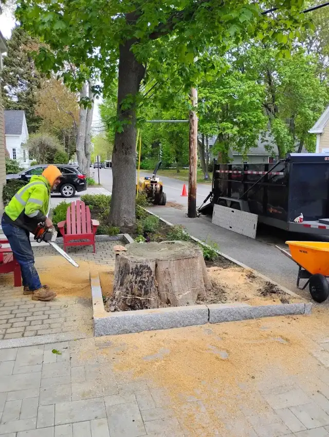 Northeast Tree Care — Saco