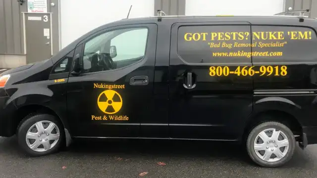 Nukingstreet Pest & Wildlife Control LLC — Enfield