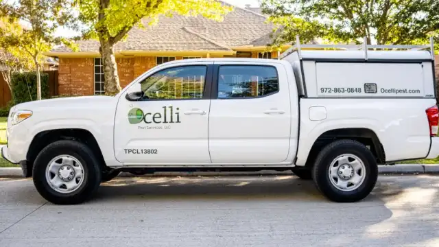 Ocelli Pest Services, LLC — Denton