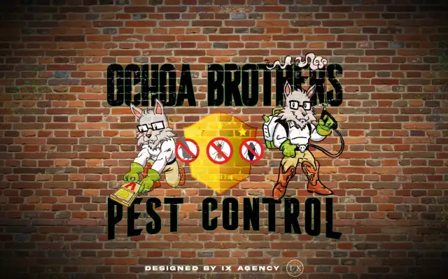 Ochoa Brothers Pest Control — Dulzura