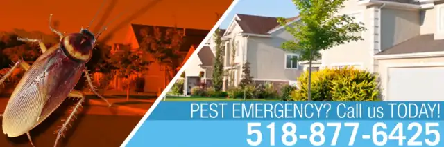 OPC Pest Control — Clifton Park