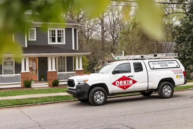 Orkin — Dallas