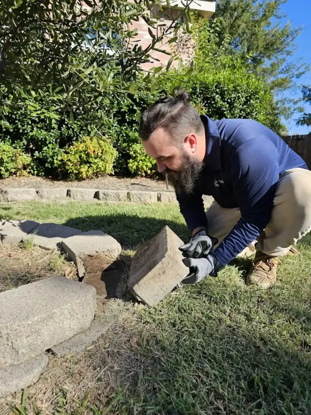 Paragon Pest Control — Fort Worth
