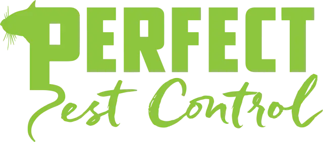 Perfect Pest Control — Fort Worth
