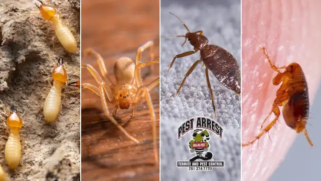 Pest Arrest LLC. — Richmond
