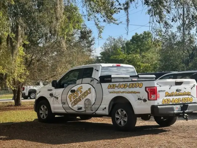 Pest Cemetery — Wesley Chapel