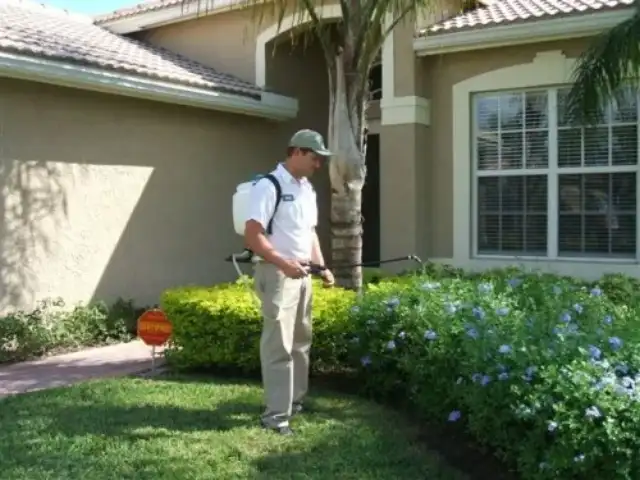 Pest Control Houston King — Houston