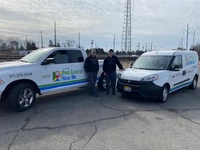 Pest Control Near Me, Inc. — Bristow