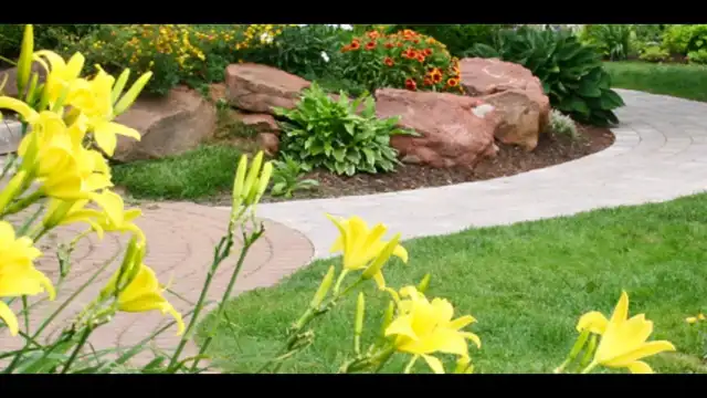 Phoenix Pest Control LLC — Derby