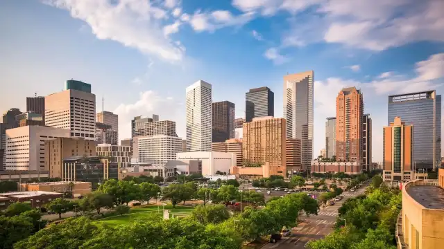 Pioneer Exterminating Co Inc — Houston