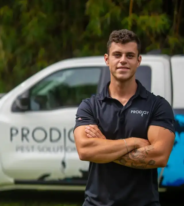 Prodigy Pest Solutions — St. Augustine