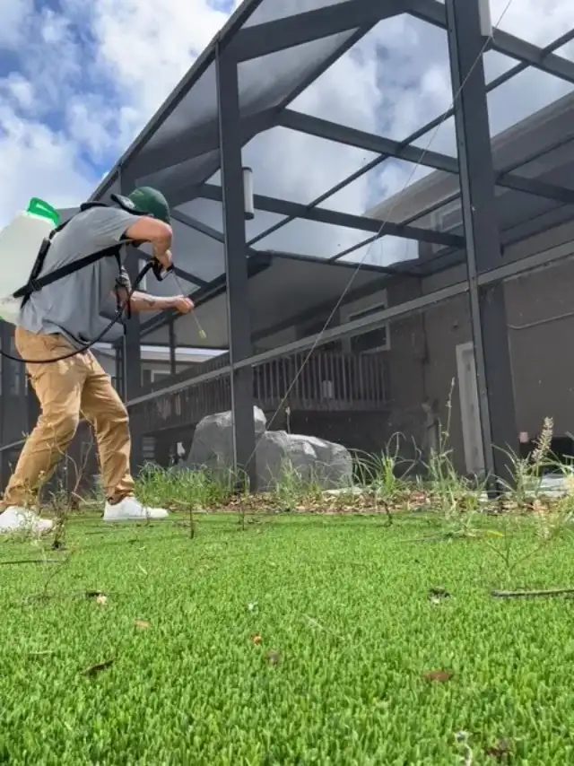Prohealth Pest Control — Clearwater