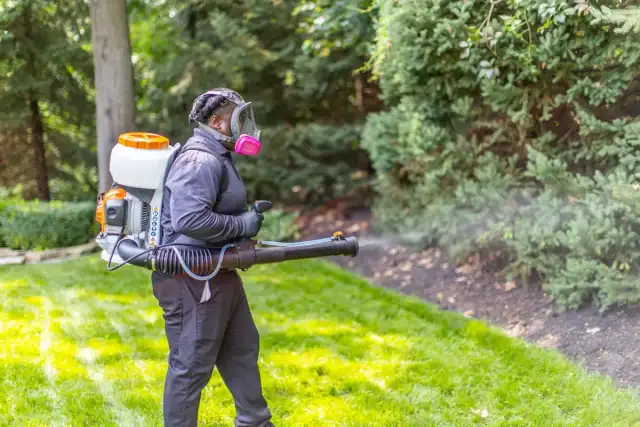 proof. Pest Control — Colorado Springs