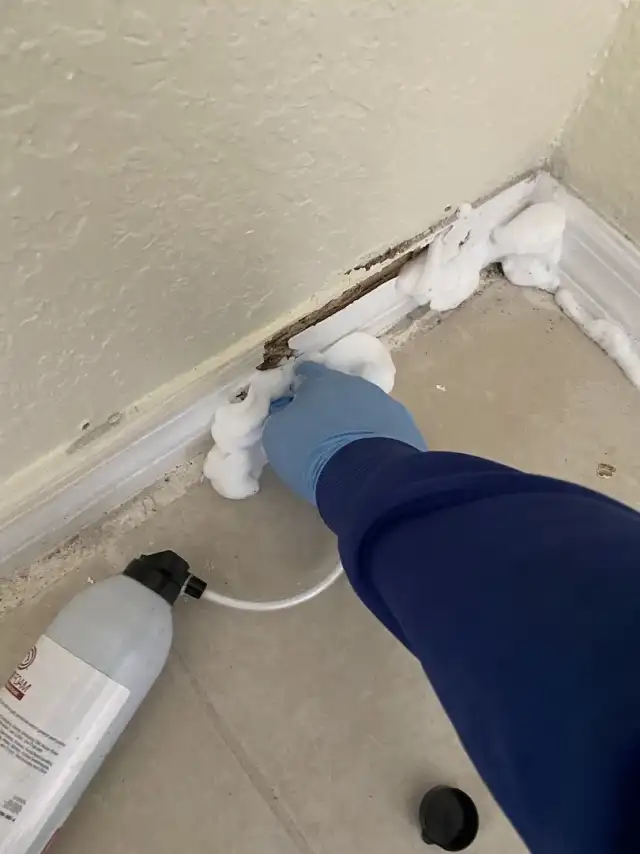 PROTOCOL PEST CONTROL — Pompano Beach