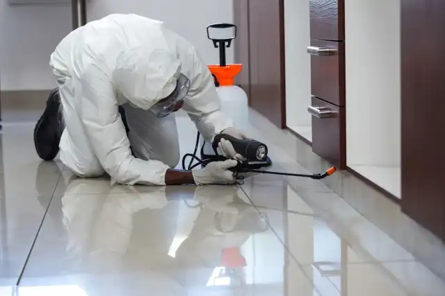 Quick Reaction Pest Control — Miami