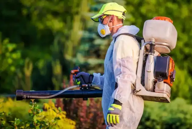 Ratchet Roach Pest Control — Jacksonville