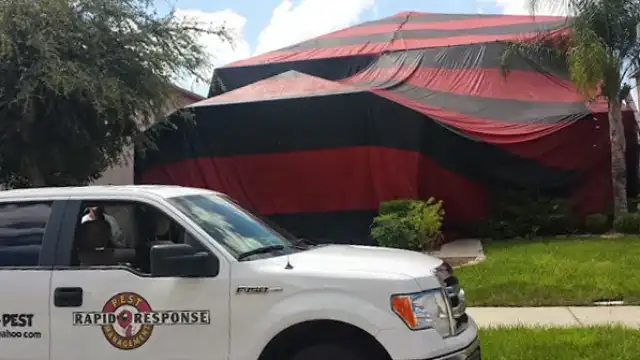 Rapid Response Pest Management — Kissimmee