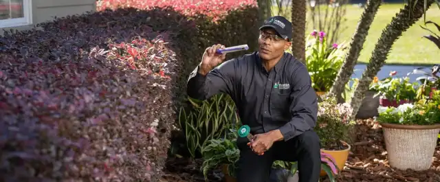 Florida Pest Control — Orlando
