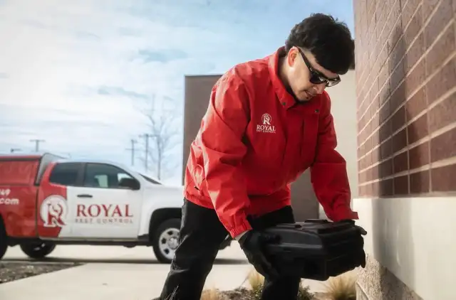Royal Pest Control — Fort Worth