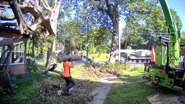 SavATree - Tree Service & Lawn Care — Hopkins