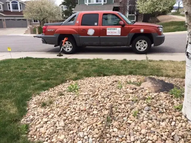 Side by Side Pest Control, LLC — Arvada
