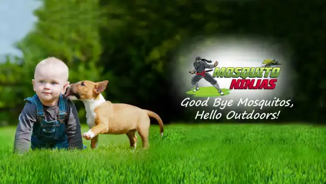 Mosquito Ninjas, LLC — Glastonbury