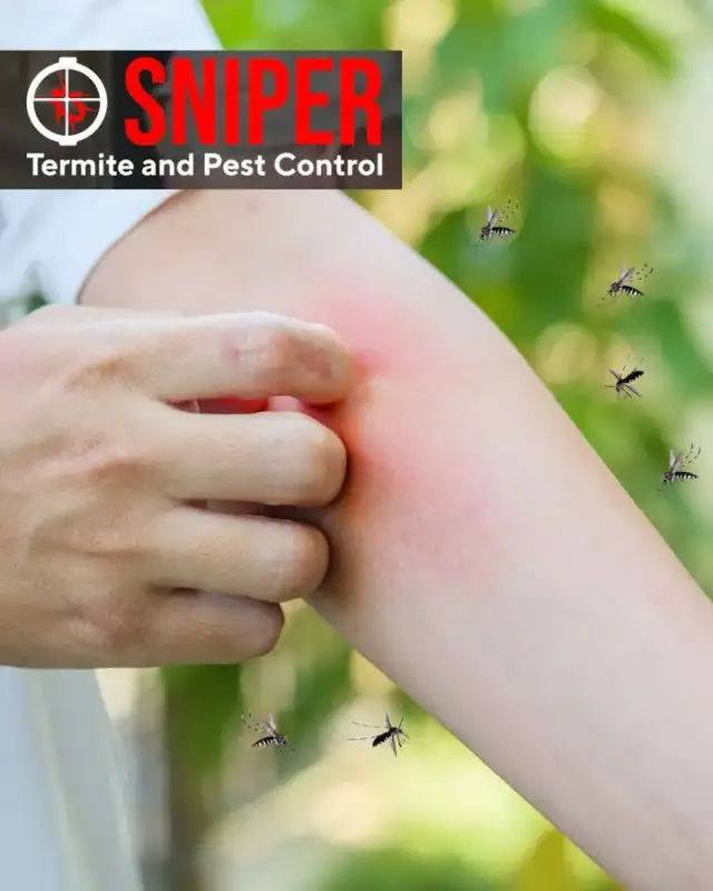 Sniper Termite and Pest Control — Fort Worth