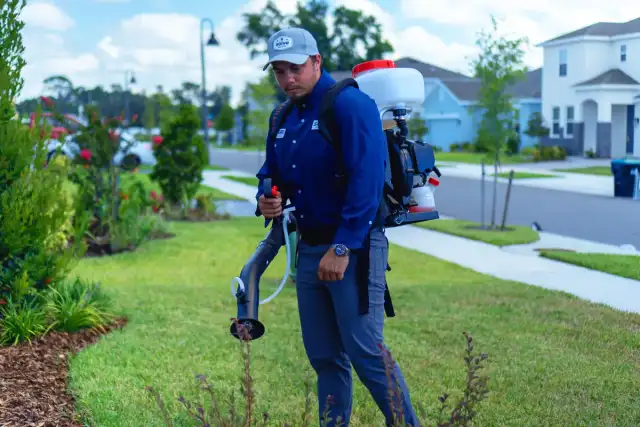 Solve Pest Pros — Tampa