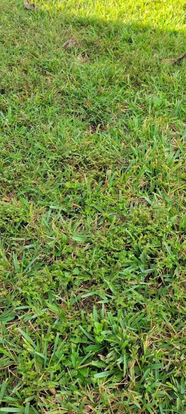Stark Exterminators — Boca Raton