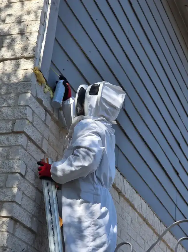Superior Pest Control, LLC — Conroe
