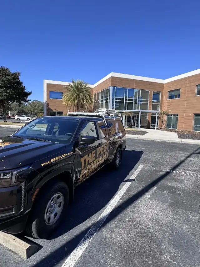 The Pest Company — Jacksonville
