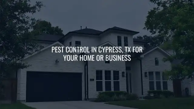 TNT Home & Commercial Services — Houston