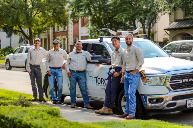 Toro Pest Solutions — Dallas