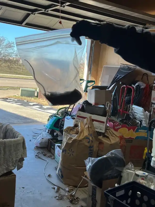 Total Home Pest Solutions, Ellis County — Waxahachie