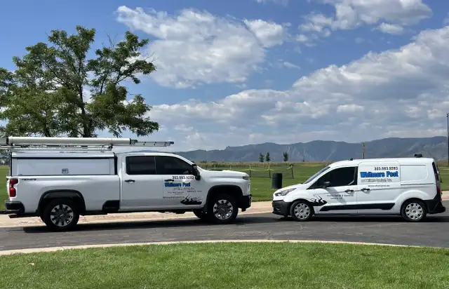 Whitmore Pest & Wildlife Control of Denver — Denver