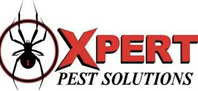 Xpert Pest Solutions — Dallas