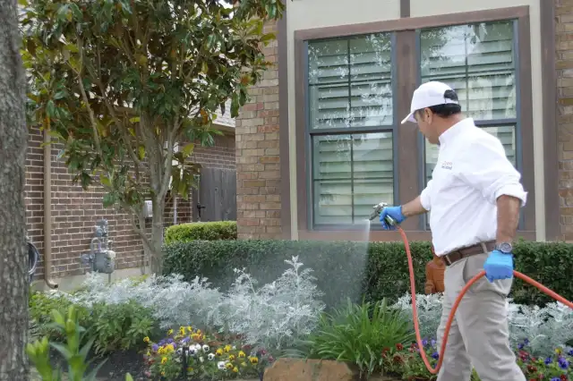 Zorro Pest Control — Houston